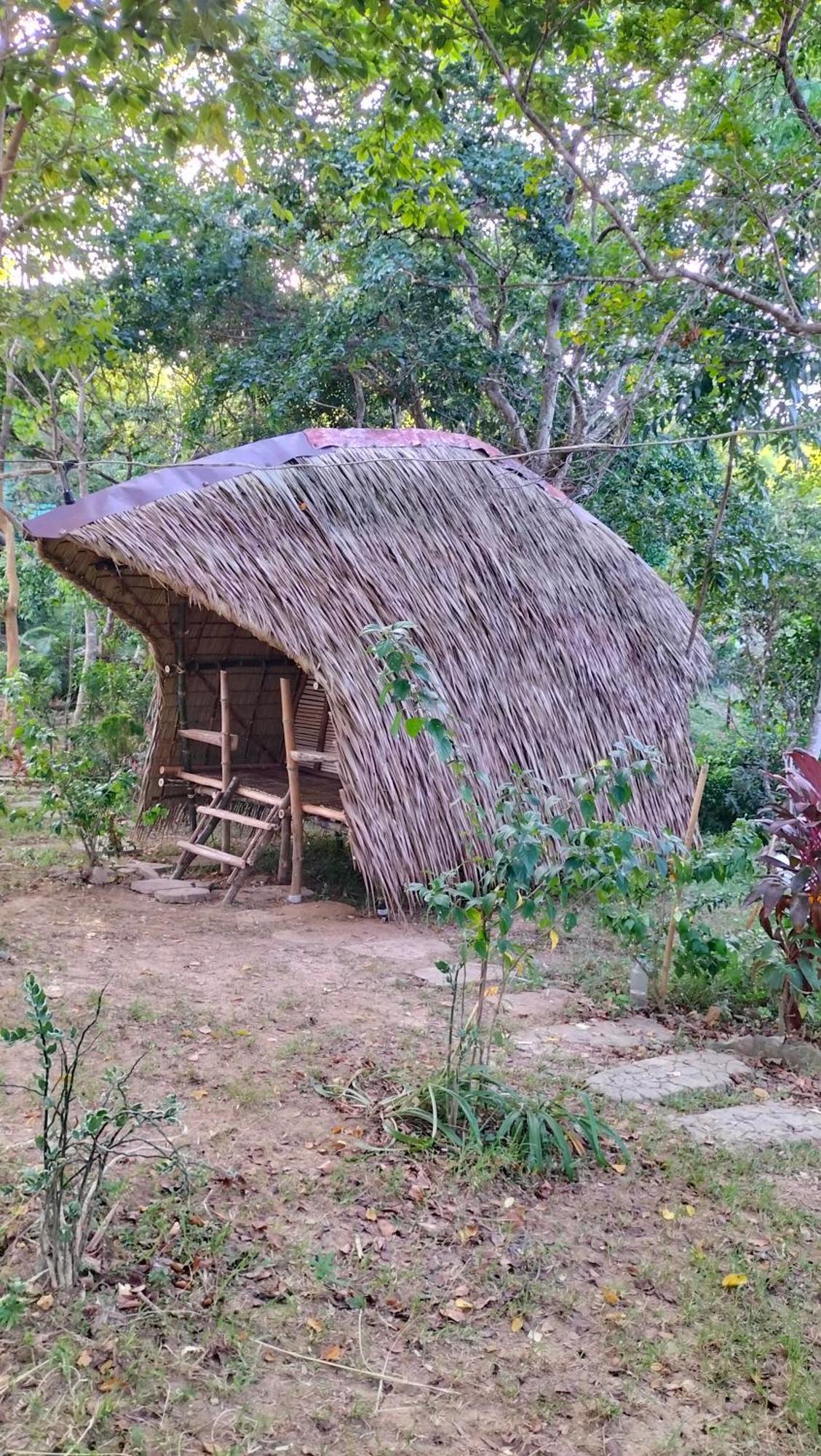 Erlittop Nature Lodge El Nido Eksteriør billede