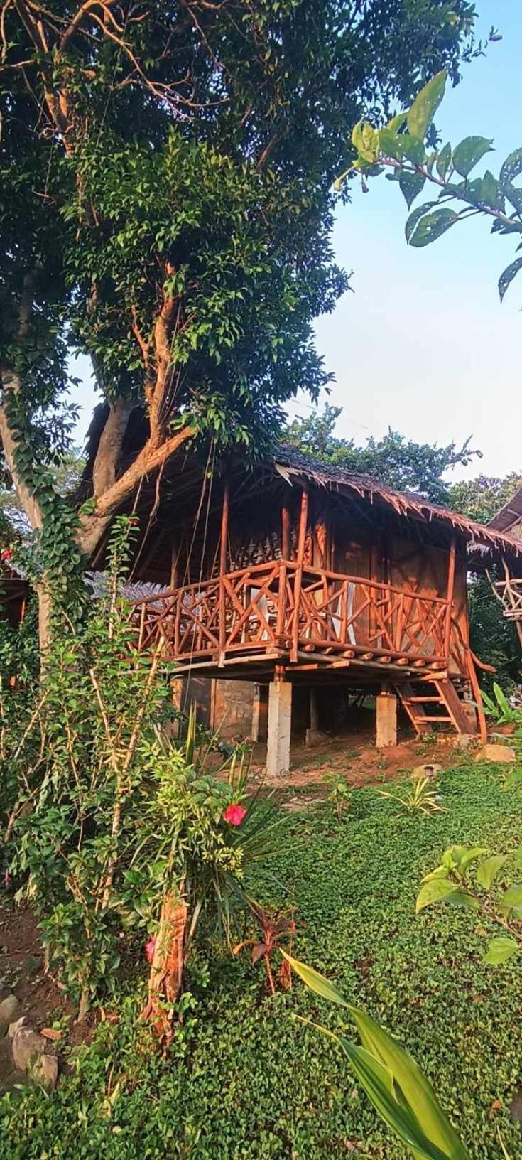 Erlittop Nature Lodge El Nido Eksteriør billede